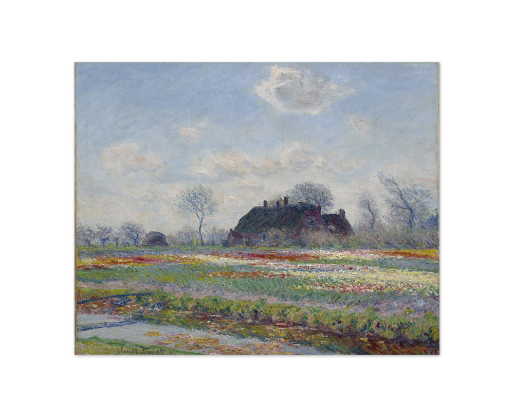 Claude Monet - Tulip Fields at Sassenheim - Compact / Full Bleed / No Frame