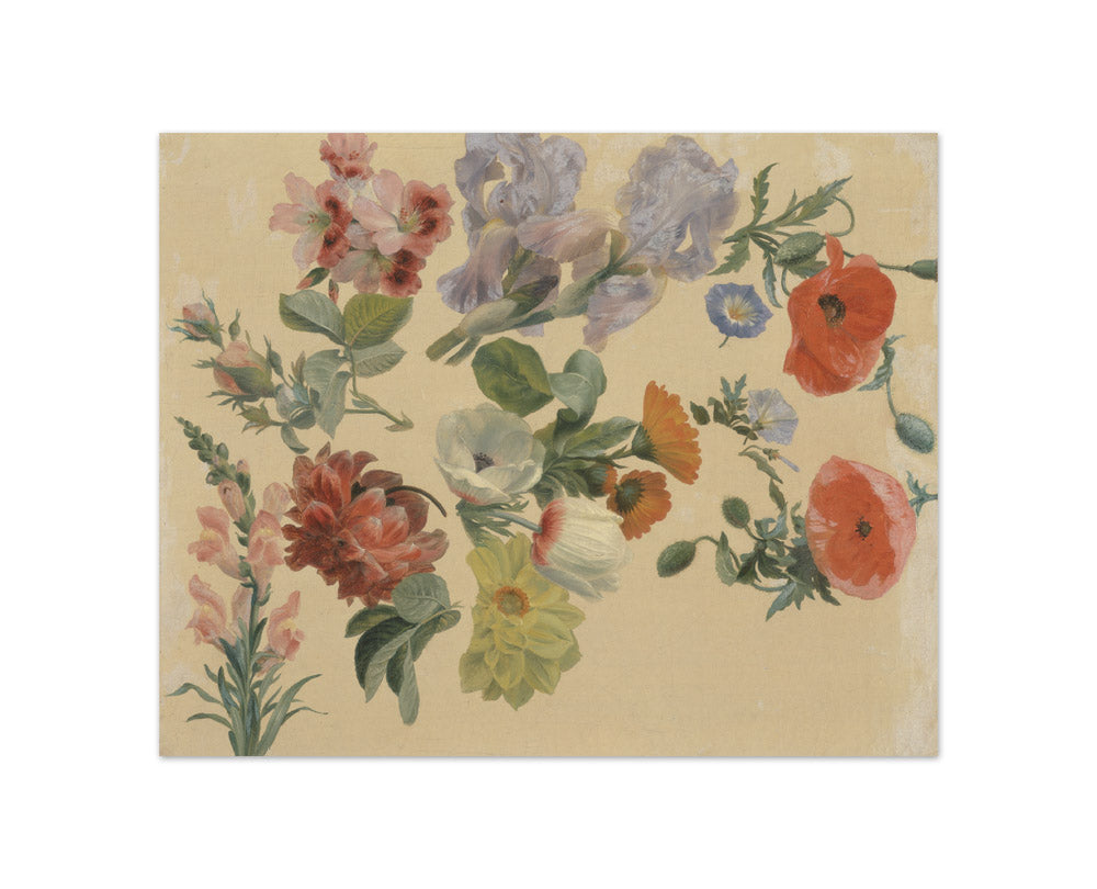 Jacques–Laurent Agasse - Studies of Summer Flowers - Compact / Full Bleed / No Frame