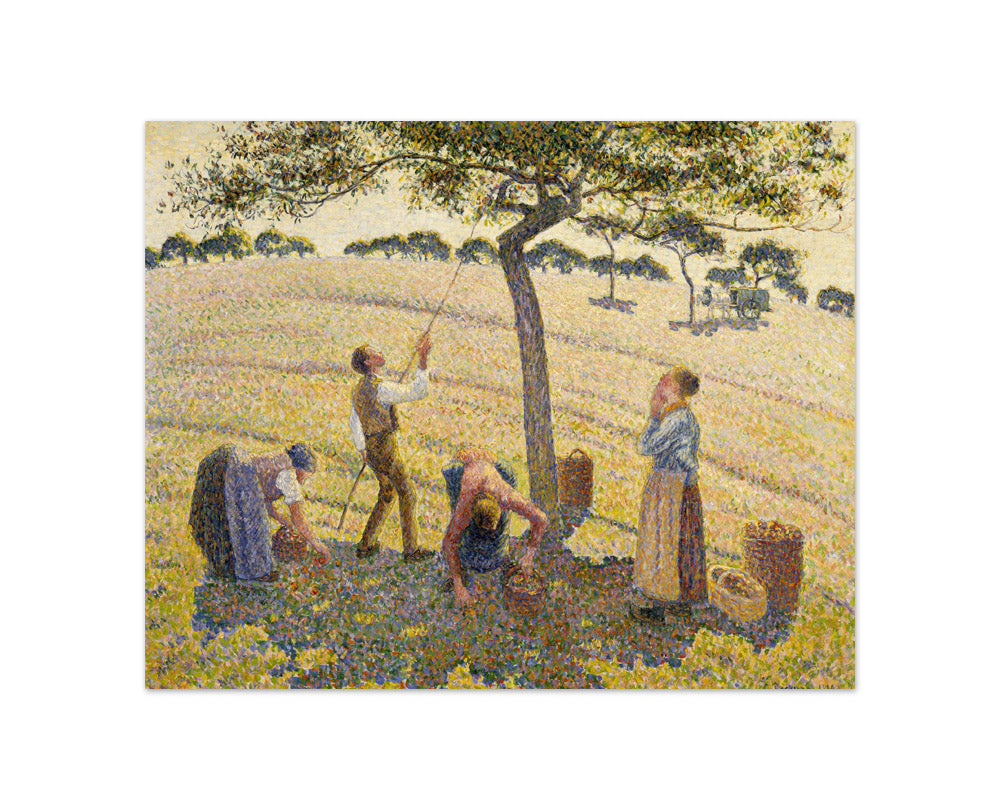 Camille Pissarro - Apple Harvest - Compact / Full Bleed / No Frame