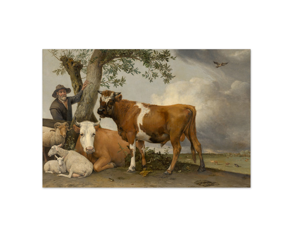 Paulus Potter - The Bull - Compact / Full Bleed / No Frame