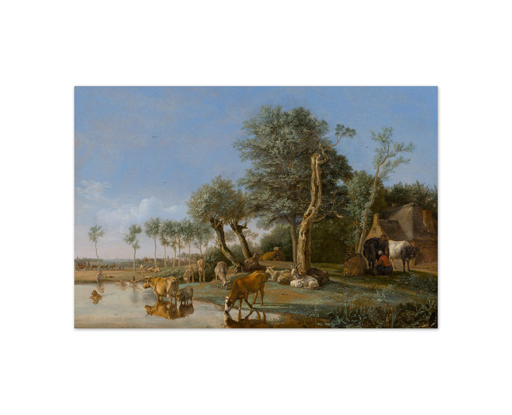 Paulus Potter - Cows Reflected in the Water - Compact / Full Bleed / No Frame