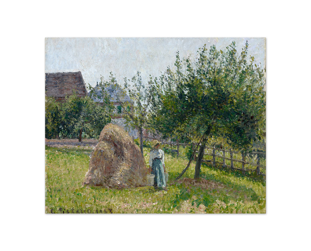 Camille Pissarro - Apple Trees in Éragny, Sunny Morning - Compact / Full Bleed / No Frame