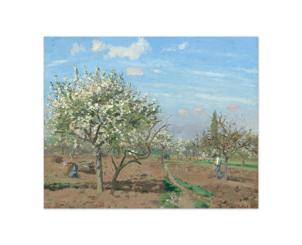 Camille Pissarro - Orchard in Bloom, Louveciennes - Compact / Full Bleed / No Frame