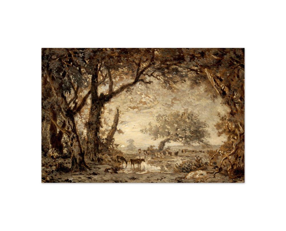 Théodore Rousseau - Sunset from the Forest of Fontainebleau - Compact / Full Bleed / No Frame