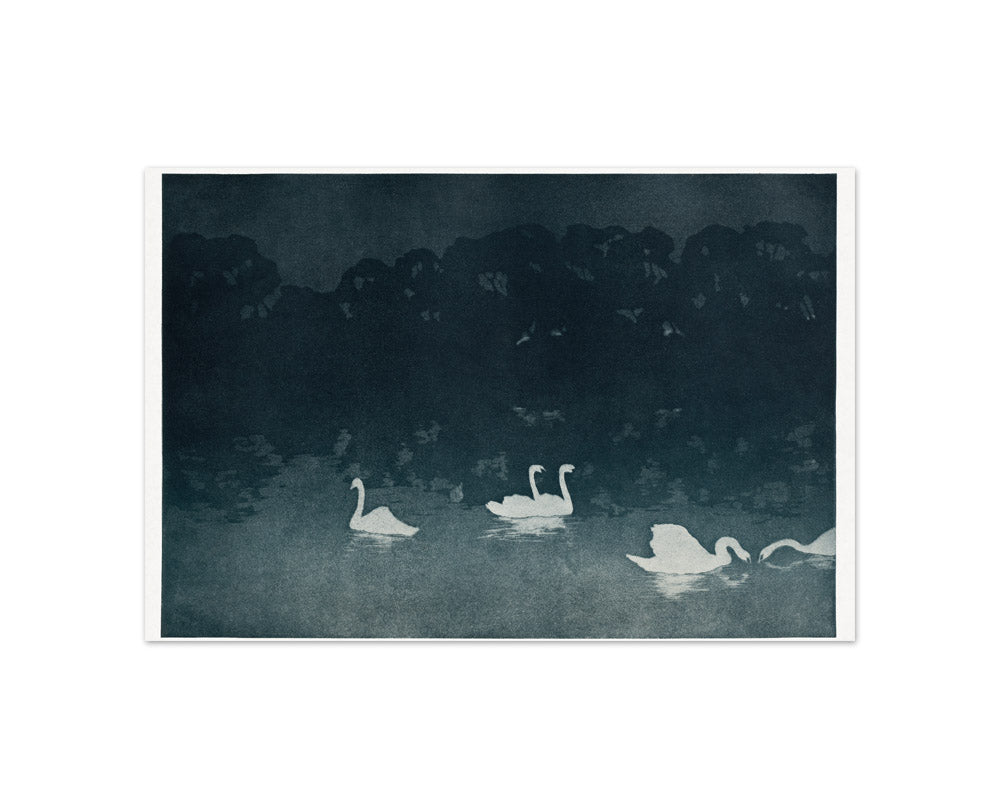 Francis Jourdain - The Swans - Compact / Full Bleed / No Frame