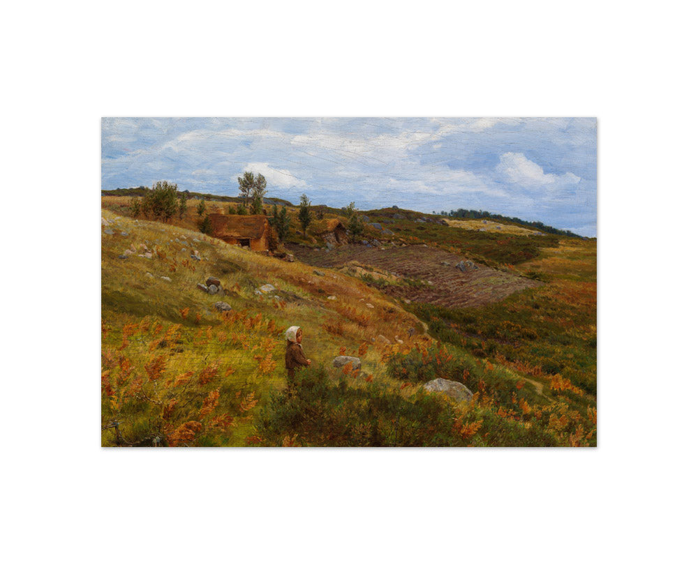 Niels Skovgaard - Lowland Cottage - Compact / Full Bleed / No Frame