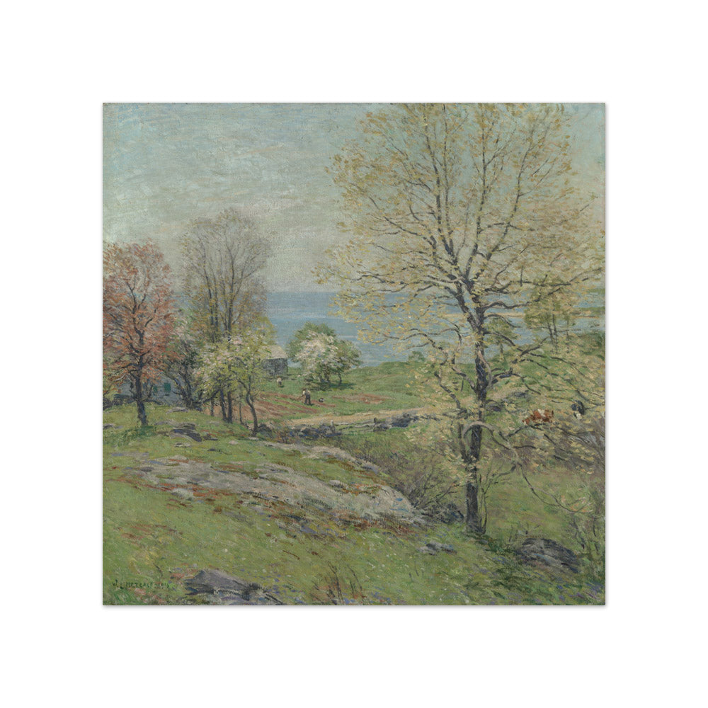 Willard L. Metcalf - The Budding Oak - Compact / Full Bleed / No Frame