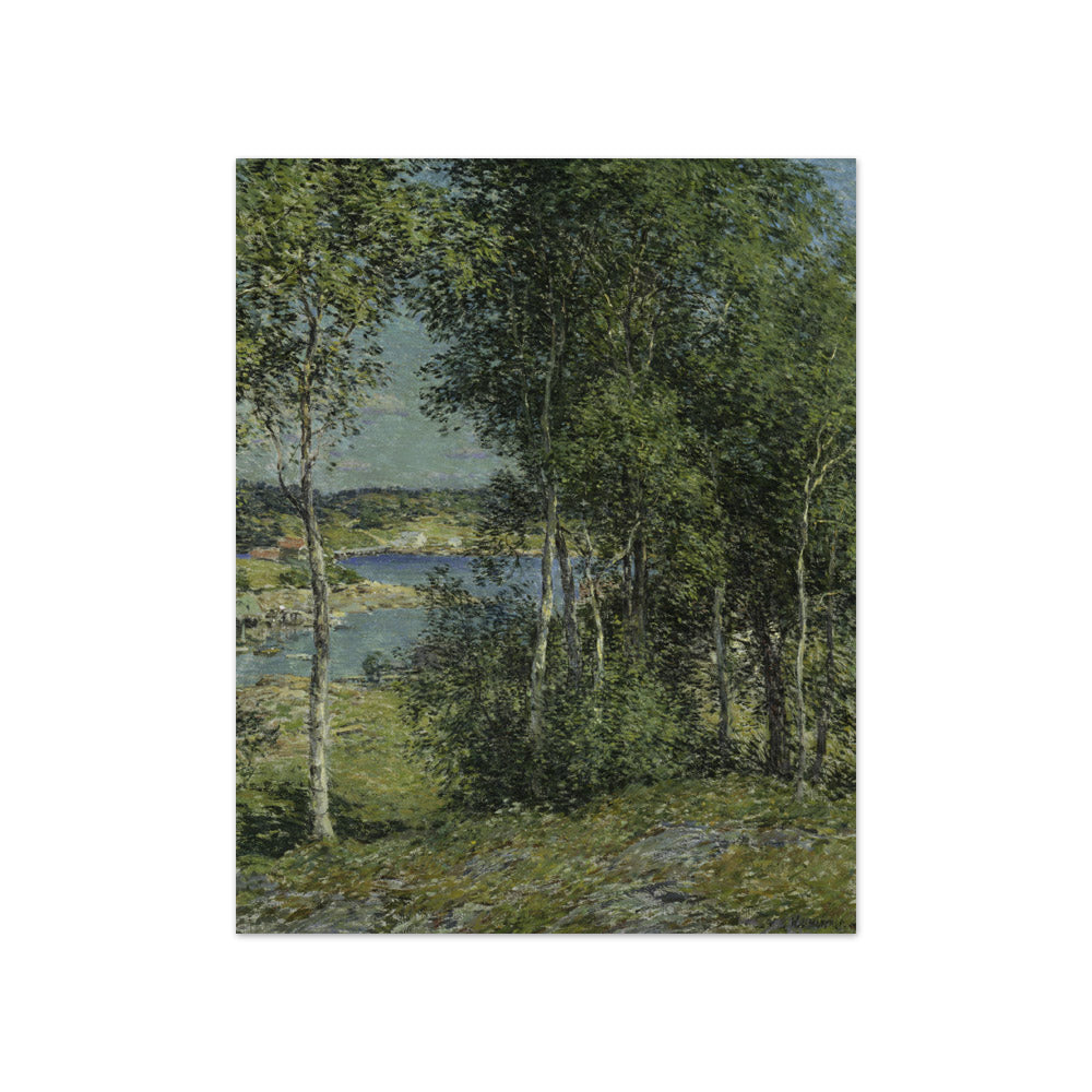 Willard L. Metcalf - A Family of Birches - Compact / Full Bleed / No Frame