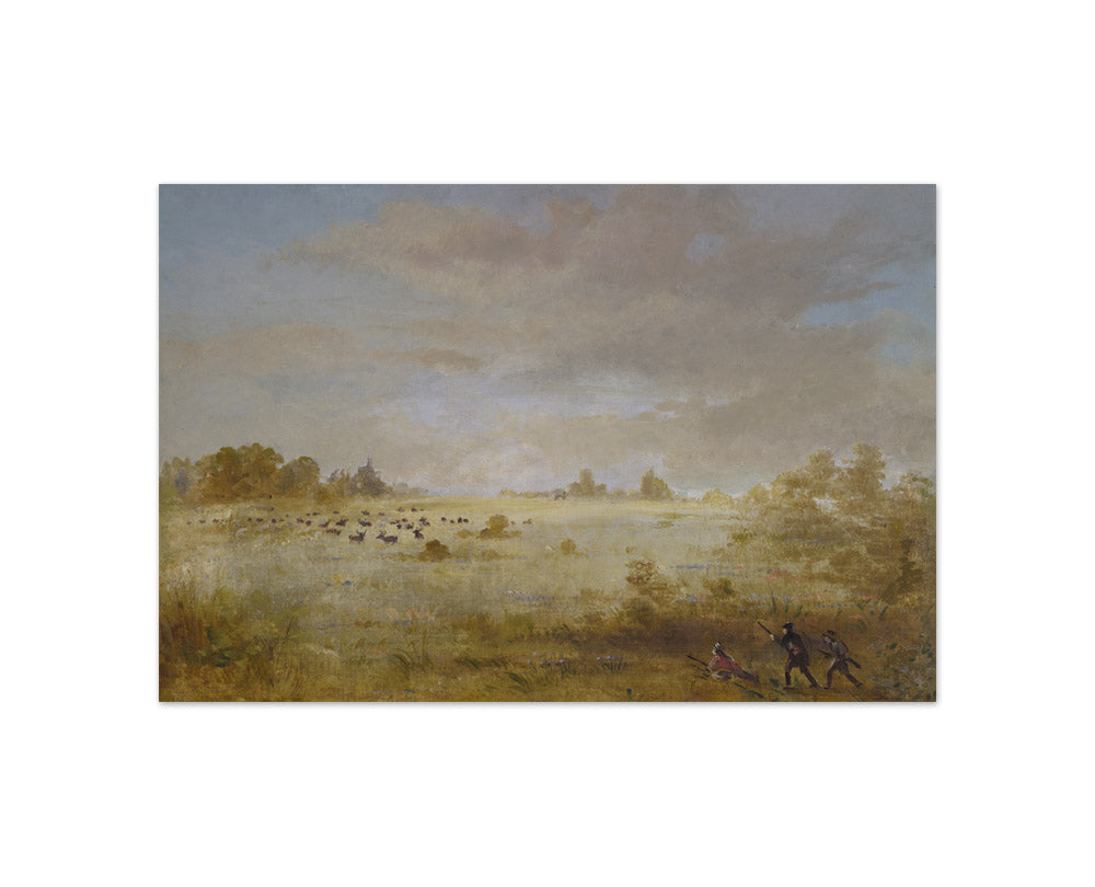 George Catlin - Elk Grazing on an Autumn Prairie - Compact / Full Bleed / No Frame