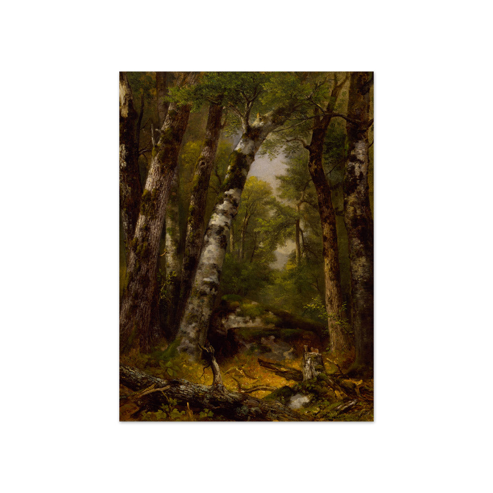 Asher Brown Durand - Woodland Glen - Compact / Full Bleed / No Frame