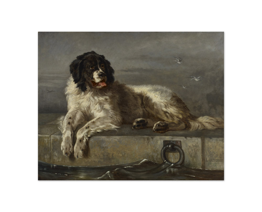 Sir Edwin Henry Landseer - A Distinguished Member of the Humane Society - Compact / Full Bleed / No Frame