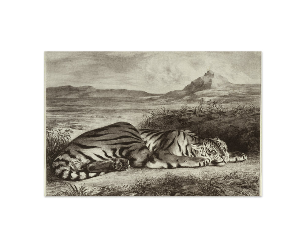 Eugène Delacroix - Royal Tiger - Compact / Full Bleed / No Frame
