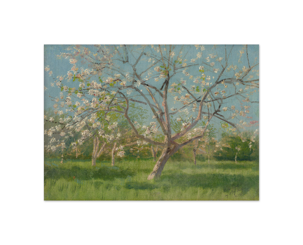 László Mednyánszky - Study of Blooming Trees in an Orchard - Compact / Full Bleed / No Frame