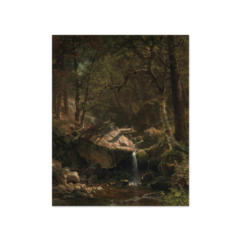 Albert Bierstadt - Mountain Brook - Compact / Full Bleed / No Frame