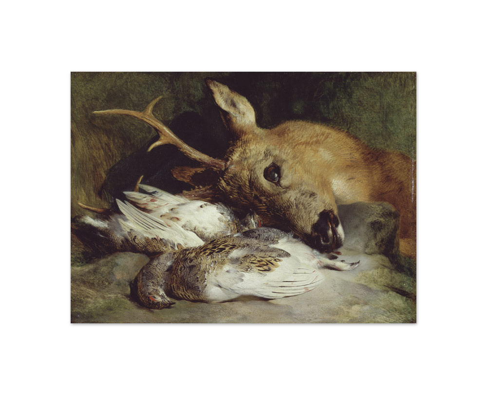 Sir Edwin Henry Landseer - Head of a Roebuck and Two Ptarmigan - Compact / Full Bleed / No Frame