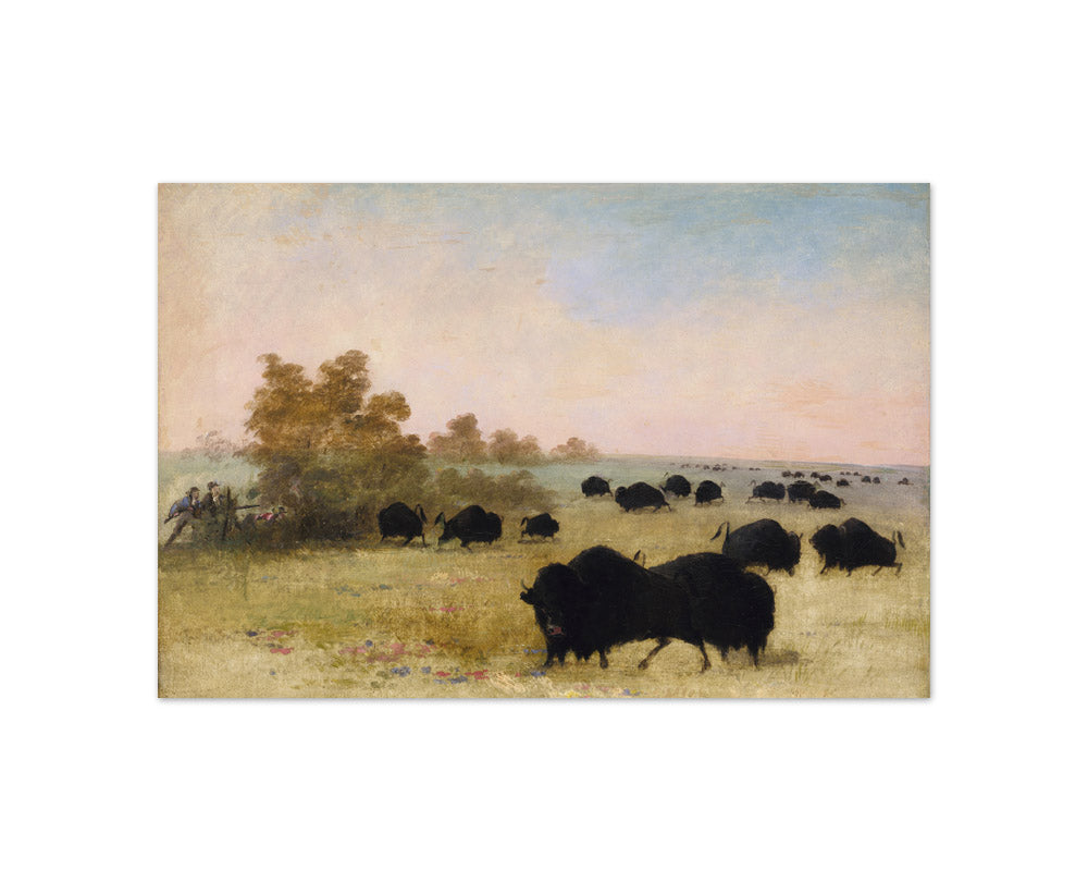 George Catlin - Catlin and Party Stalking Buffalo, Upper Missouri - Compact / Full Bleed / No Frame