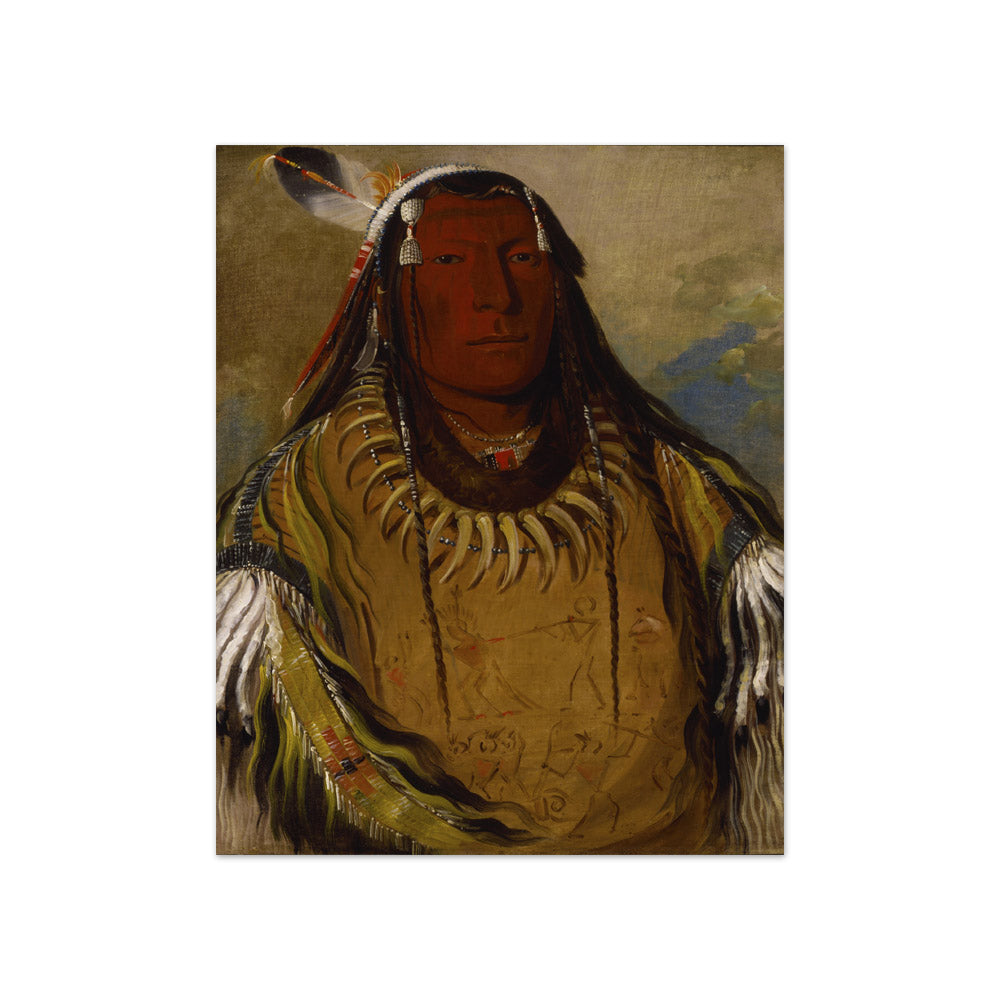 George Catlin - Pa-ris-ka-roó-pa, Two Crows, a Chief - Compact / Full Bleed / No Frame