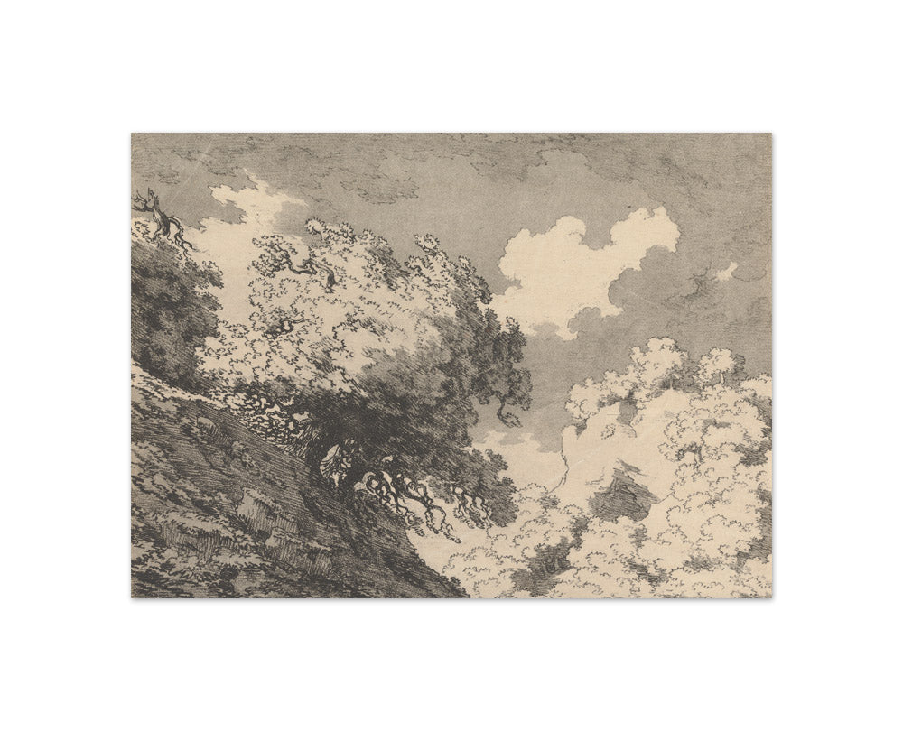 John Robert Cozens - Oak - Compact / Full Bleed / No Frame