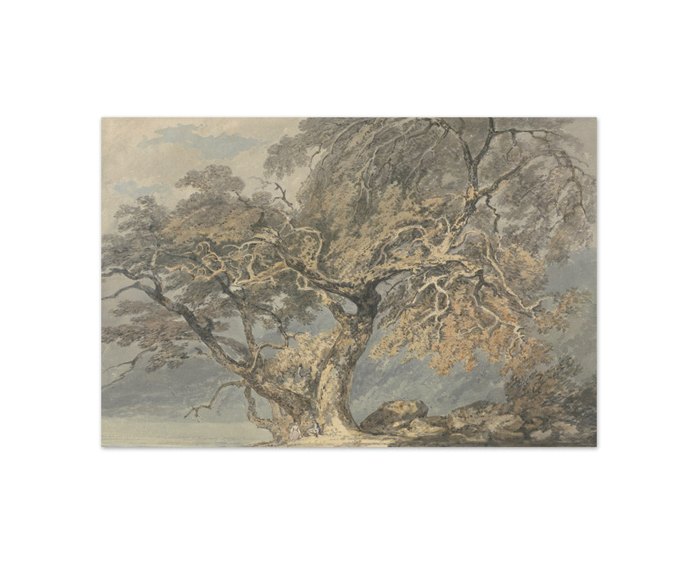 Joseph Mallord William Turner - A Great Tree - Compact / Full Bleed / No Frame