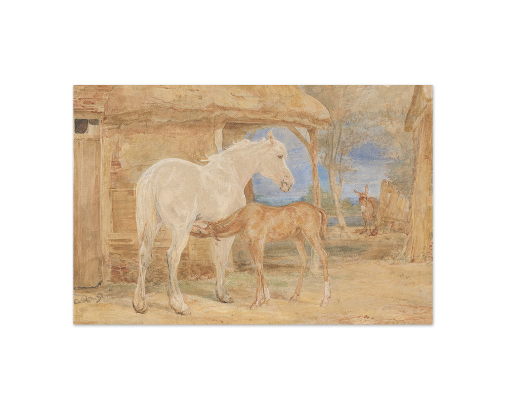 John Frederick Lewis - Gray Mare and a Chestnut Foal - Compact / Full Bleed / No Frame