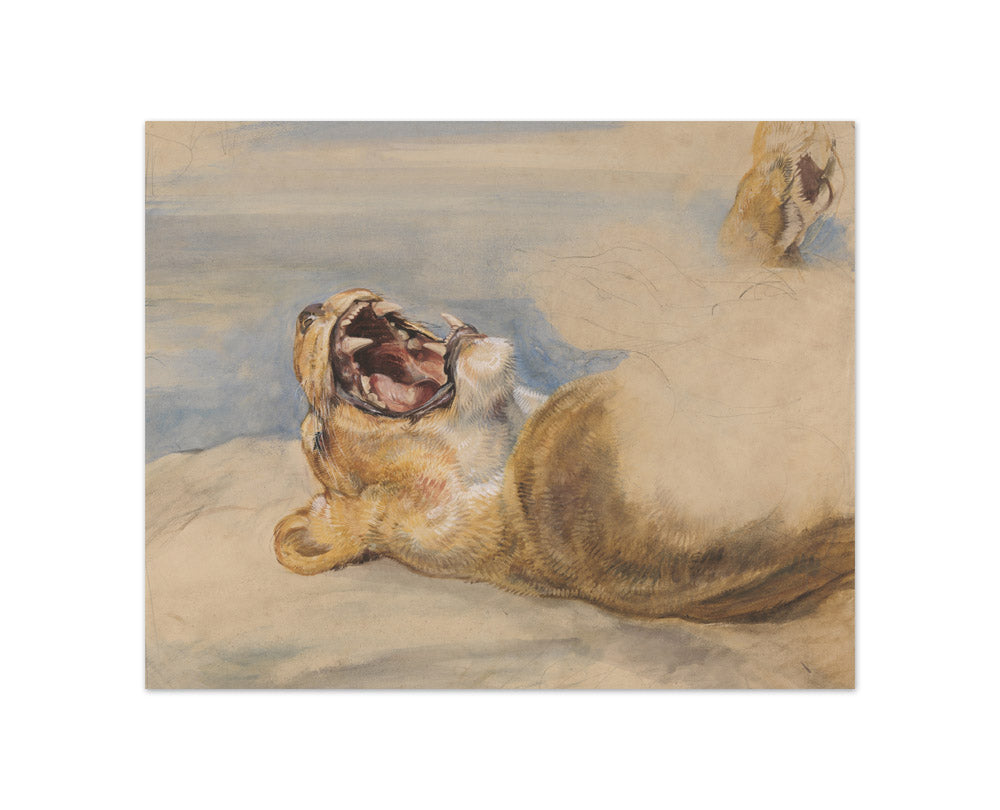 John Frederick Lewis - Study of a Lioness - Compact / Full Bleed / No Frame