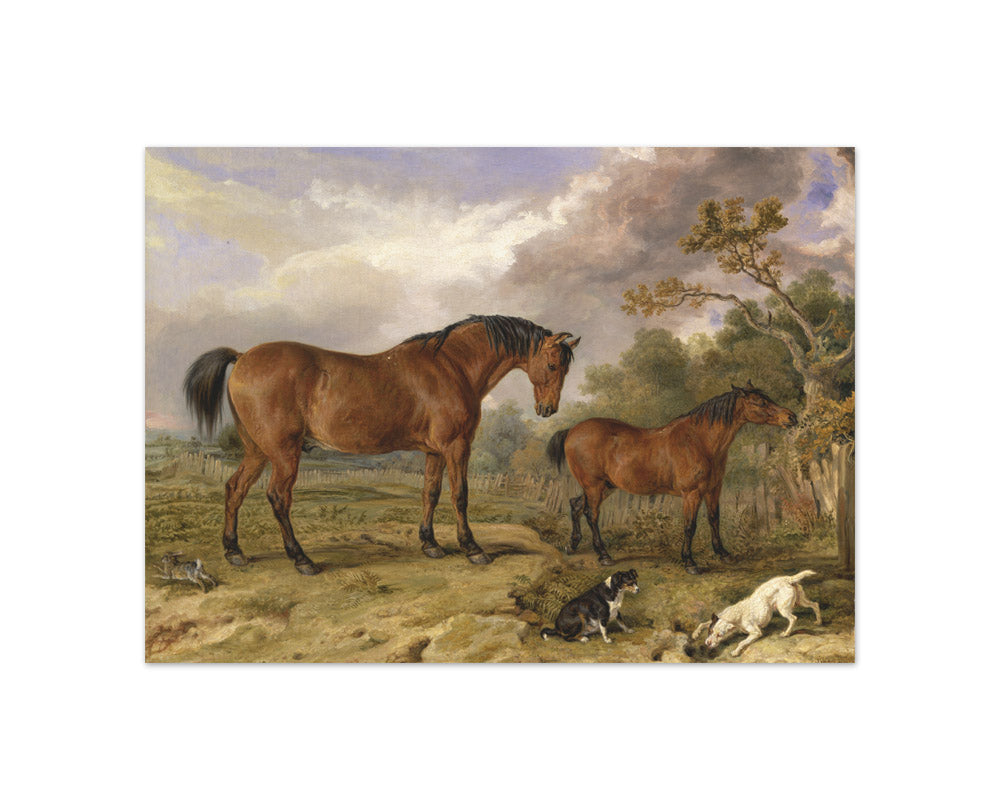 Rowland Alston - Portrait of Reformer, Blucher, Tory and Crib - Compact / Full Bleed / No Frame