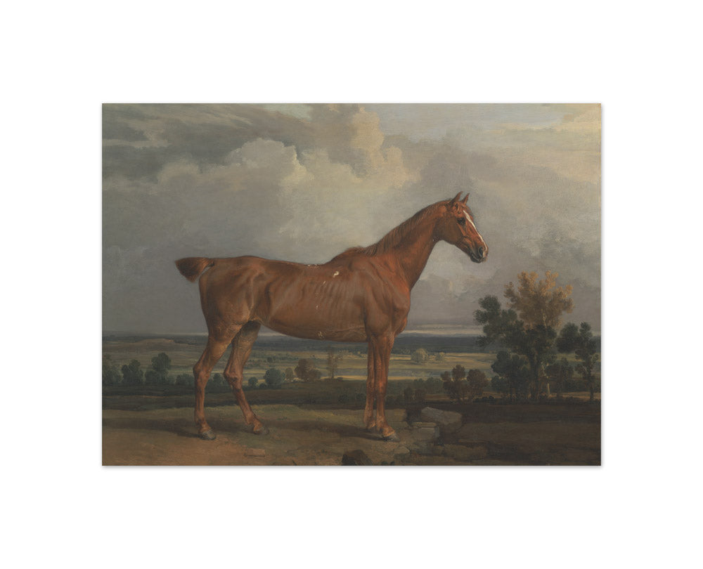 James Ward - Hunter in a Landscape - Compact / Full Bleed / No Frame