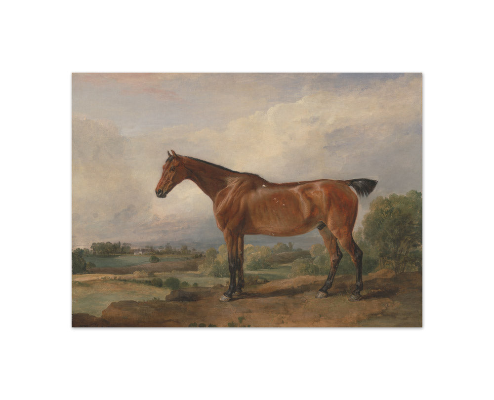 John Ward - A Hunter in a Landscape - Compact / Full Bleed / No Frame