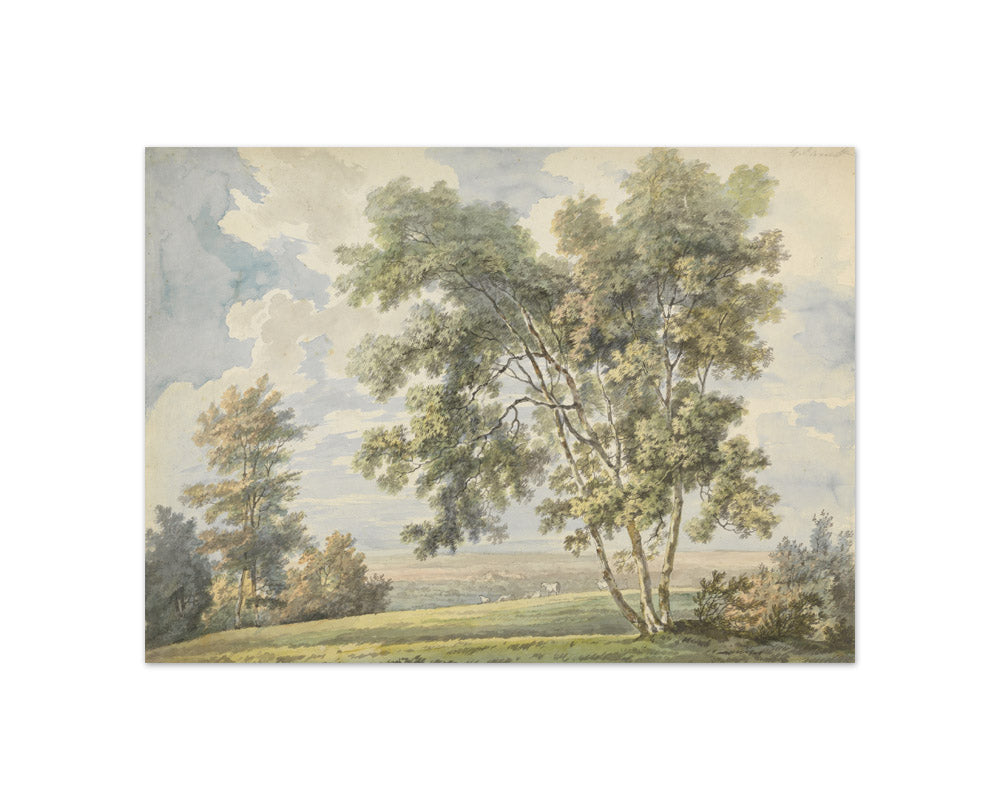 George Barret - Landscape with Trees and Sheep - Compact / Full Bleed / No Frame