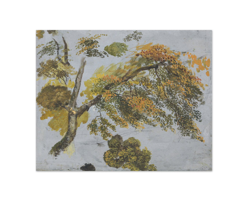 John Linnell - Tree Study (Autumn Foliage) - Compact / Full Bleed / No Frame