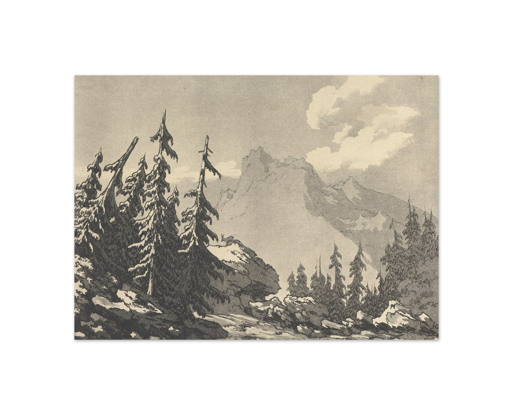 John Robert Cozens - Spruce Fir - Compact / Full Bleed / No Frame