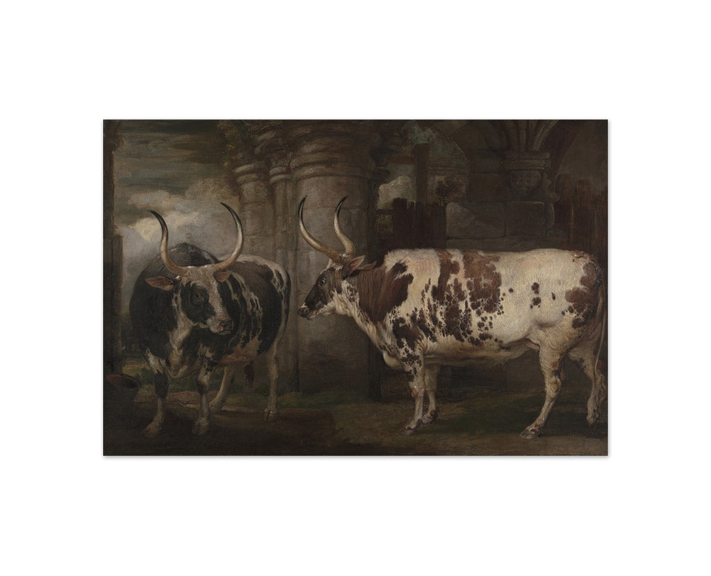 James Ward - Portraits of Two Extraordinary Oxen, the Property of the Earl of Powis - Compact / Full Bleed / No Frame