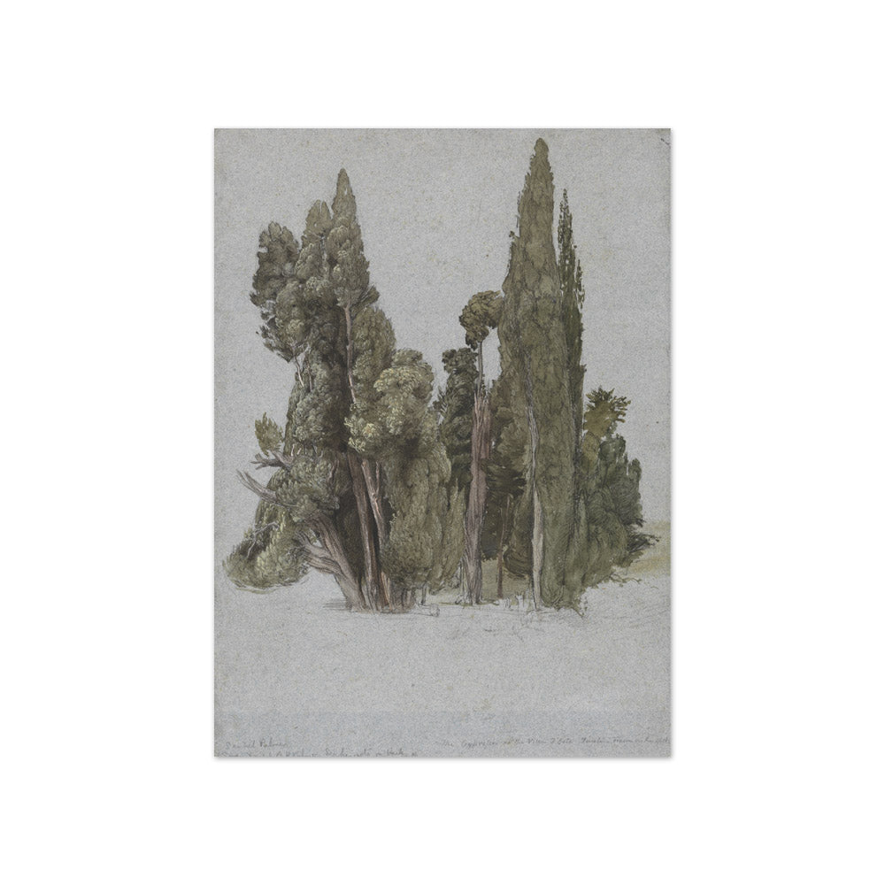 Samuel Palmer - The Cypresses at the Villa d'Este, Tivoli - Compact / Full Bleed / No Frame