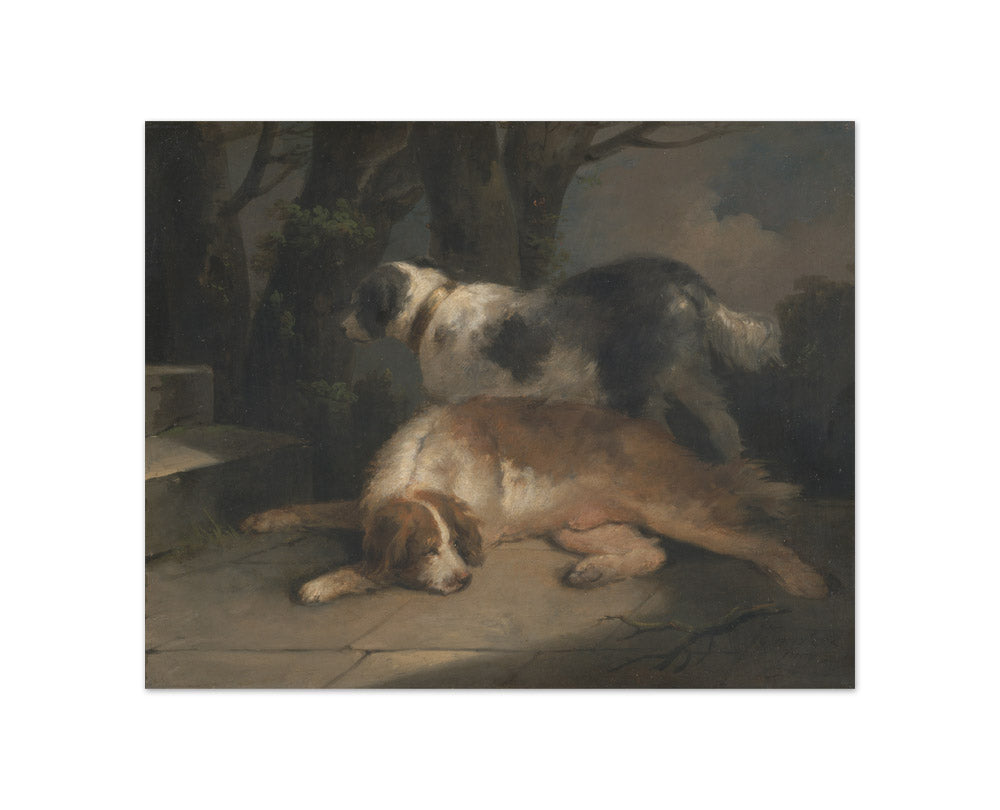 George Morland - Setters - Compact / Full Bleed / No Frame