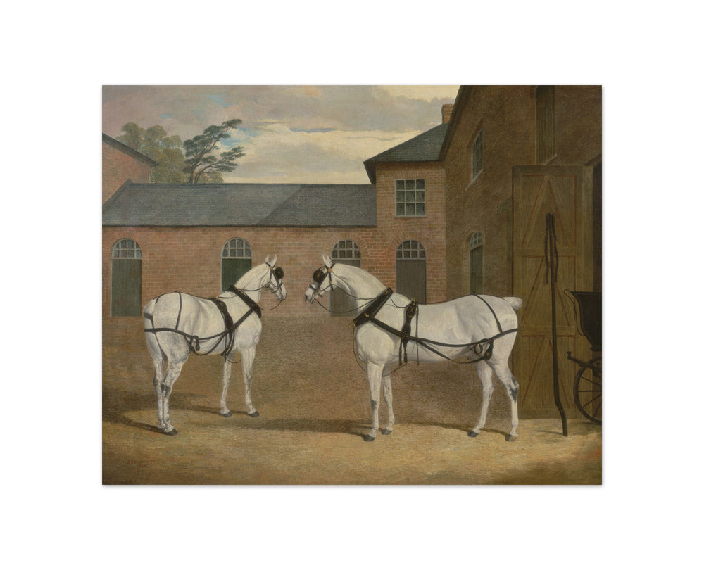 John Frederick Herring - Grey carriage horses in the coachyard at Putteridge Bury, Hertfordshire - Compact / Full Bleed / No Frame