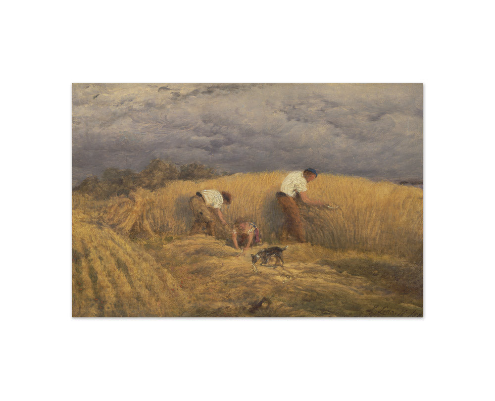 John Linnell - A Finished Study for 'Reaping' - Compact / Full Bleed / No Frame