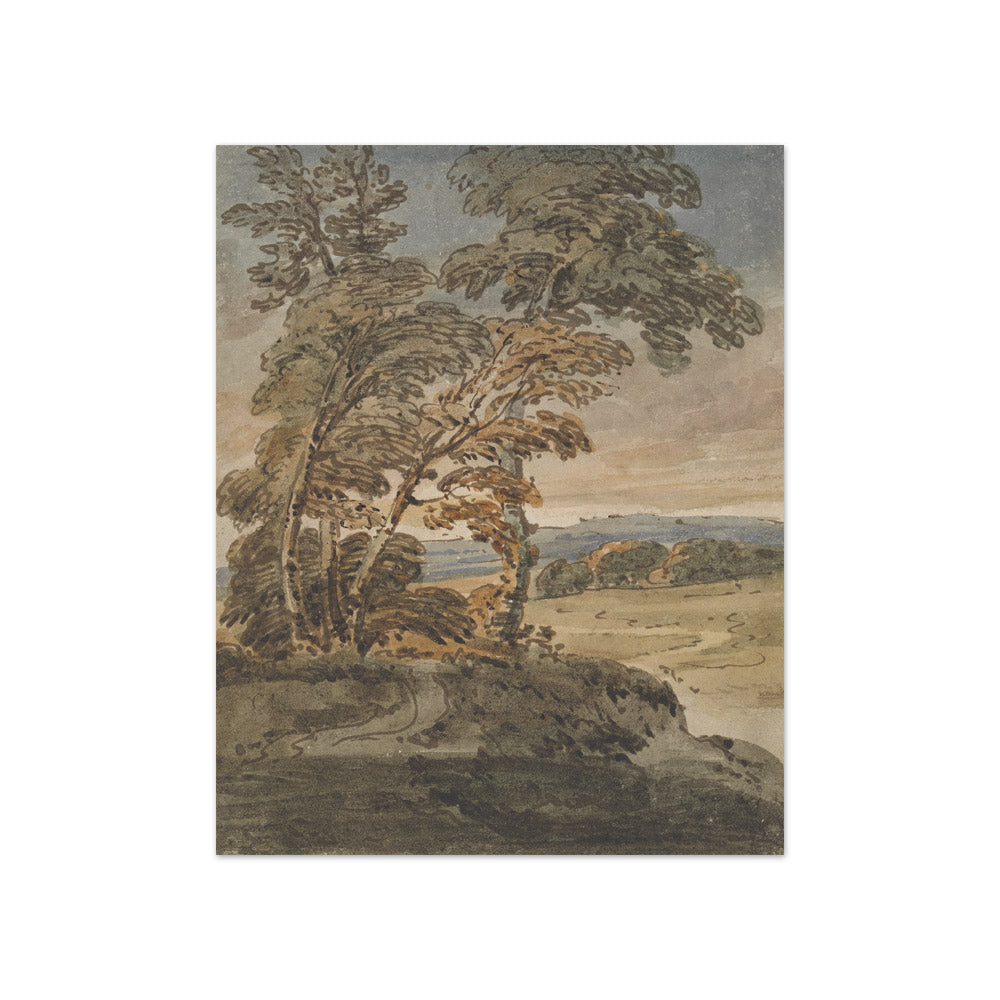 George Chinnery - Trees on a Hillside Path - Compact / Full Bleed / No Frame