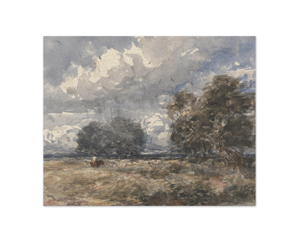 David Cox the Elder - Shepherding the Flock, Windy Day - Compact / Full Bleed / No Frame