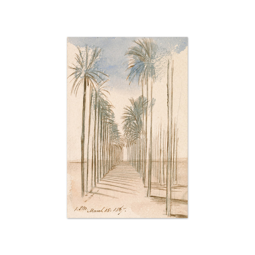 Edward Lear - Avenue of Trees - Compact / Full Bleed / No Frame