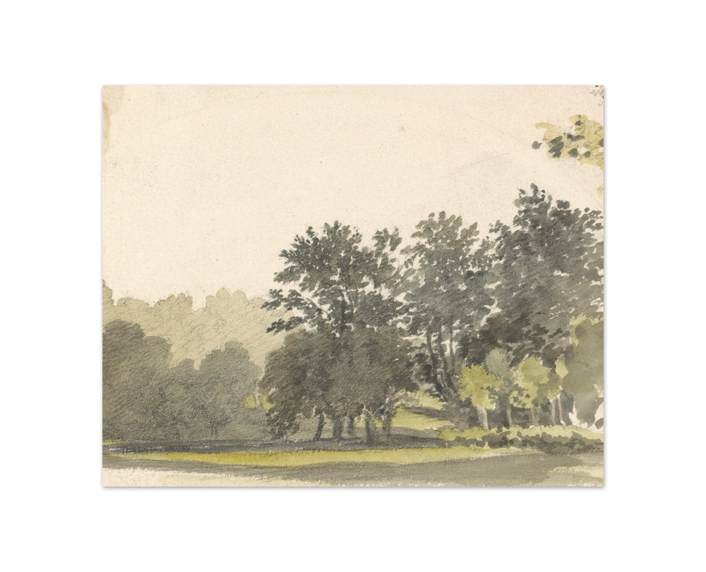 Robert Hills - Landscape with Trees - Compact / Full Bleed / No Frame