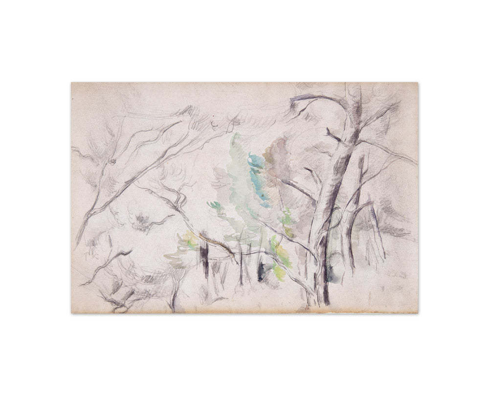 Paul Cézanne - Trees - Compact / Full Bleed / No Frame