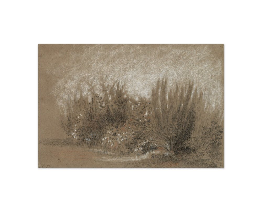 Jules Dupré - Broom and Brambles - Compact / Full Bleed / No Frame