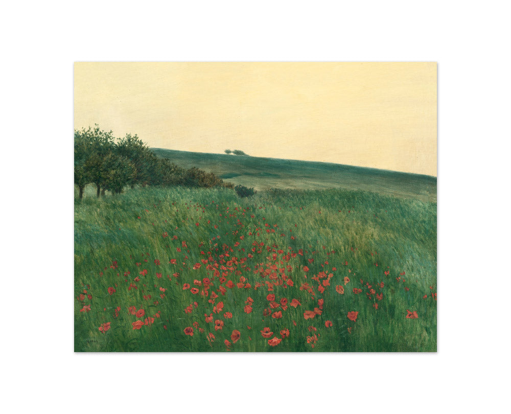 František Kaván - Red Poppies - Compact / Full Bleed / No Frame