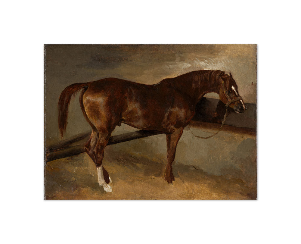 Théodore Géricault - Dervish in His Stall - Compact / Full Bleed / No Frame