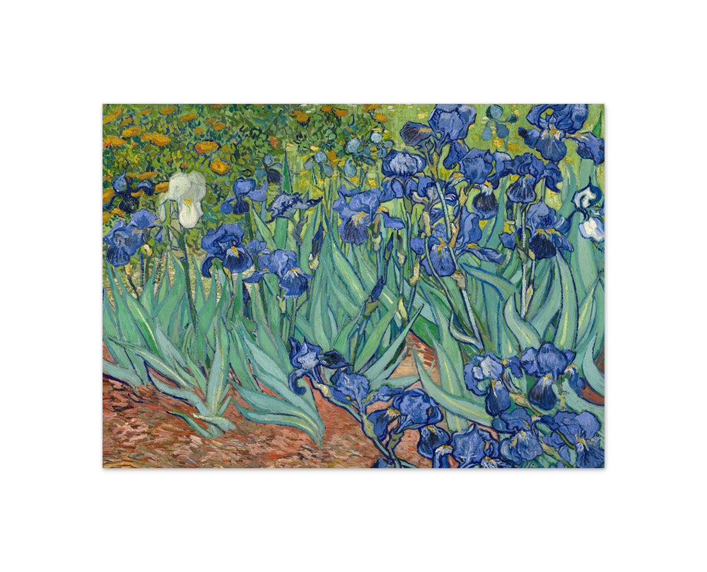 Vincent van Gogh - Irises - Compact / Full Bleed / No Frame