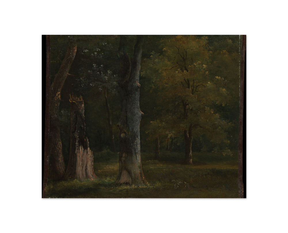 Achille-Etna Michallon - Trees in the Bois de Boulogne, Paris - Compact / Full Bleed / No Frame
