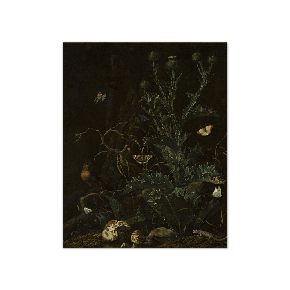 Abraham Jansz Begeyn - Thistles, Butterflies and a Lizard - Compact / Full Bleed / No Frame