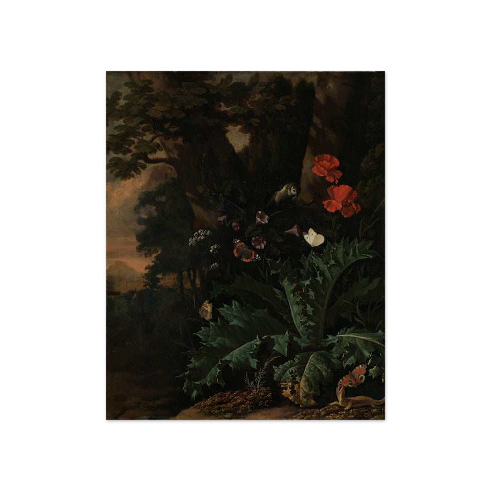 Abraham Jansz Begeyn - Butterflies and Flowers - Compact / Full Bleed / No Frame