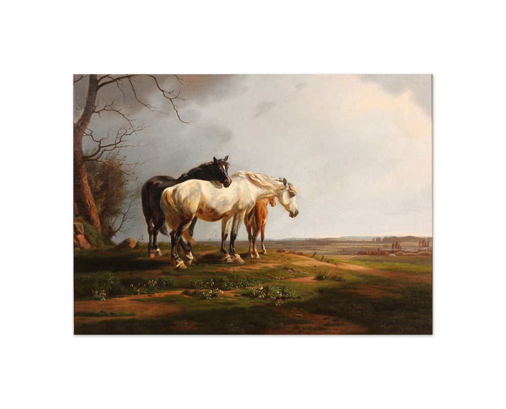 A. Mackeprang - A Flock of Horses in Low Sun - Compact / Full Bleed / No Frame