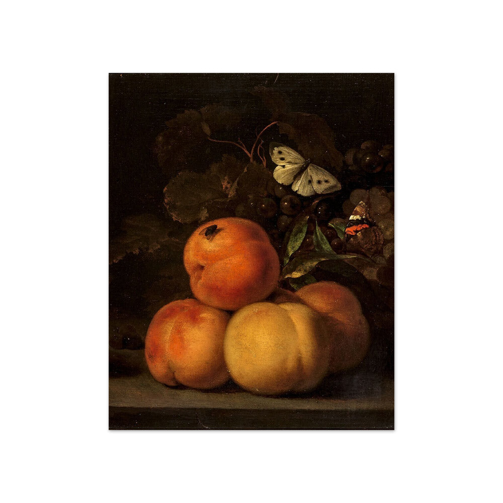Abraham van Calraet - Still Life with Peaches - Compact / Full Bleed / No Frame